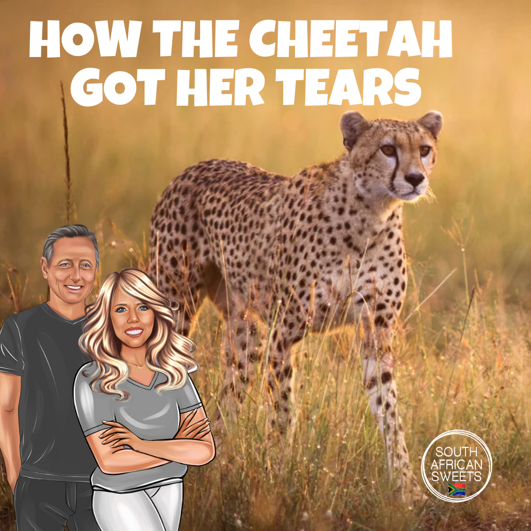 How the Cheetah Got Her Tears South African Sweets