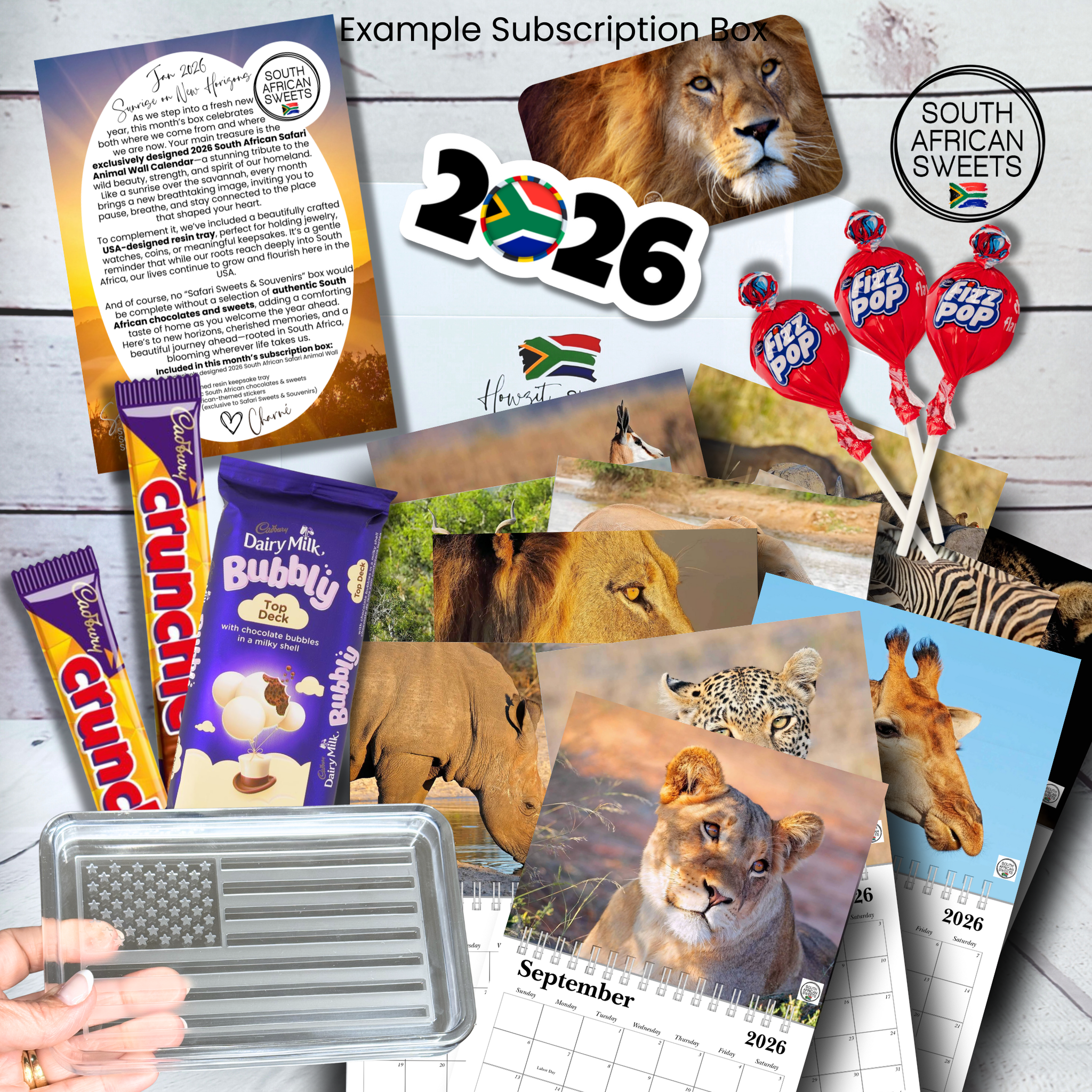 The Safari Sweets & Souvenirs Subscription Box